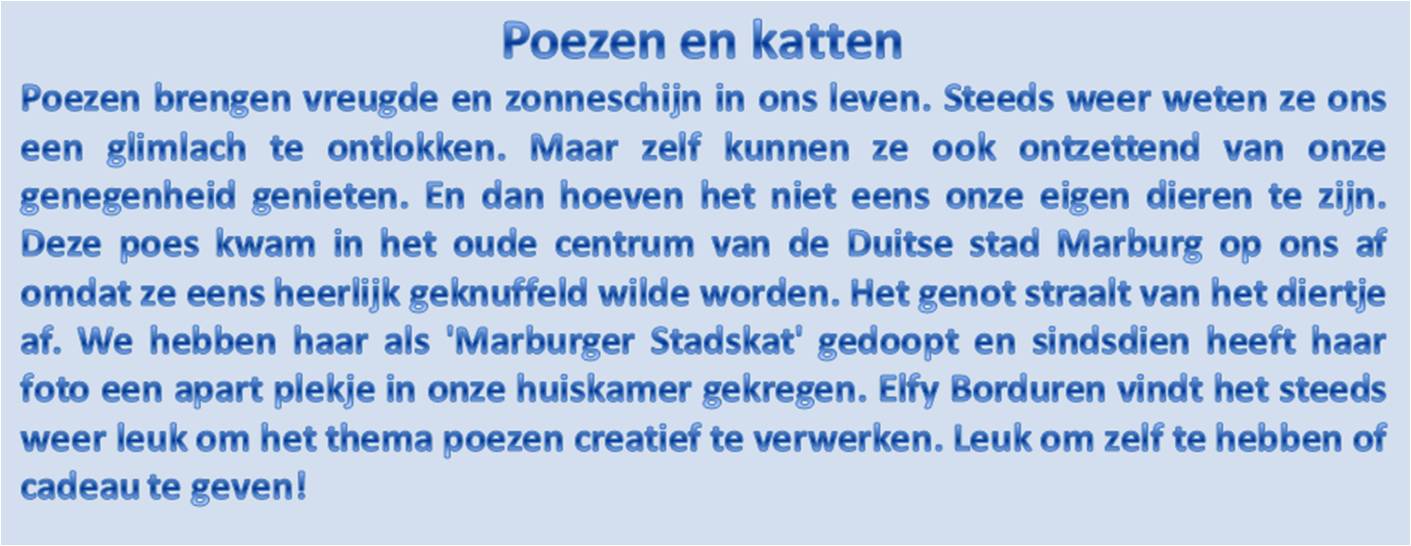 poezen en katten
